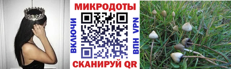 закладки Карабаново Галлюциногенные грибы Psilocybe